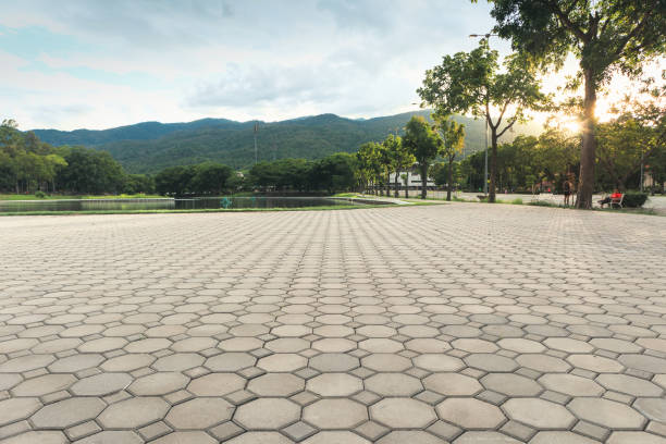 Best Local Driveway Pavers  in Maple Glen, PA